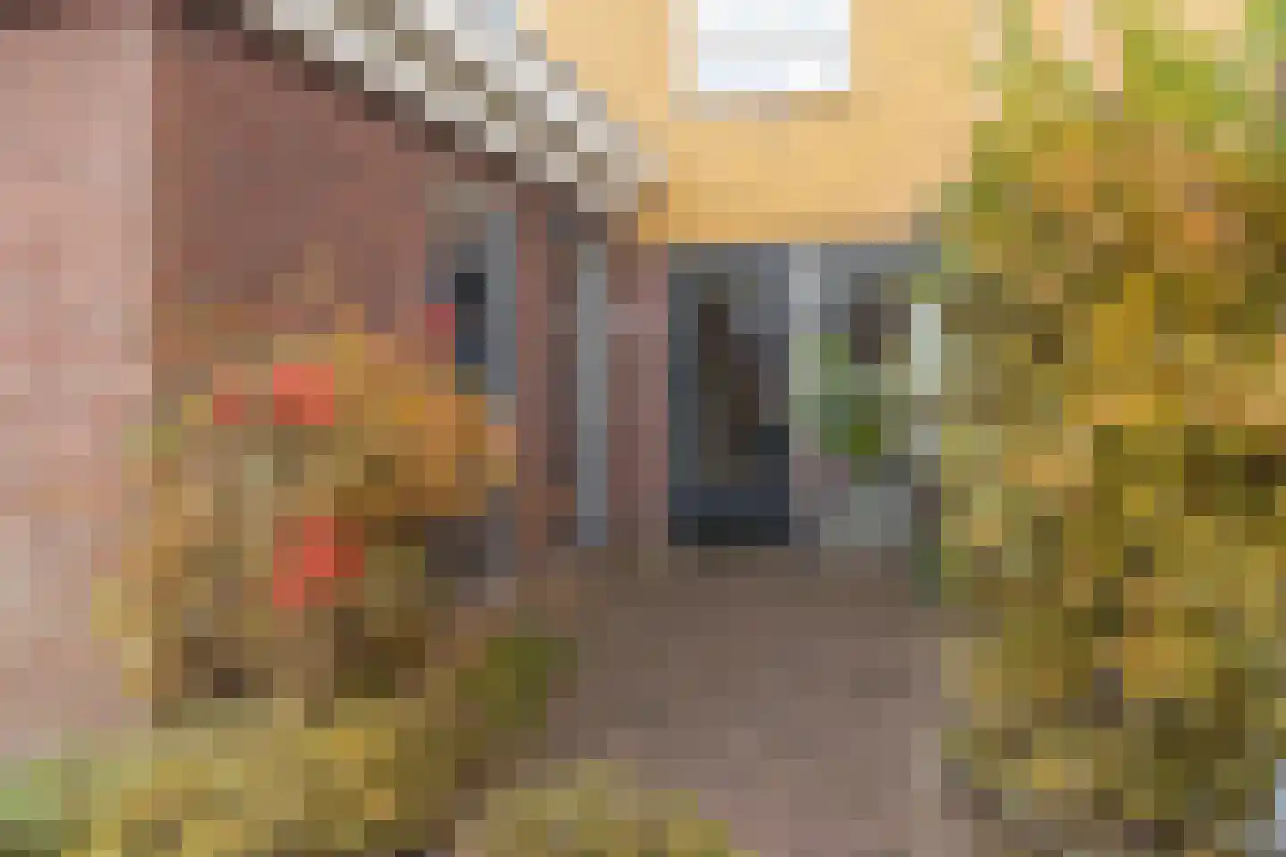 Zuiderpark 25 Kudelstaart thumbnail 33