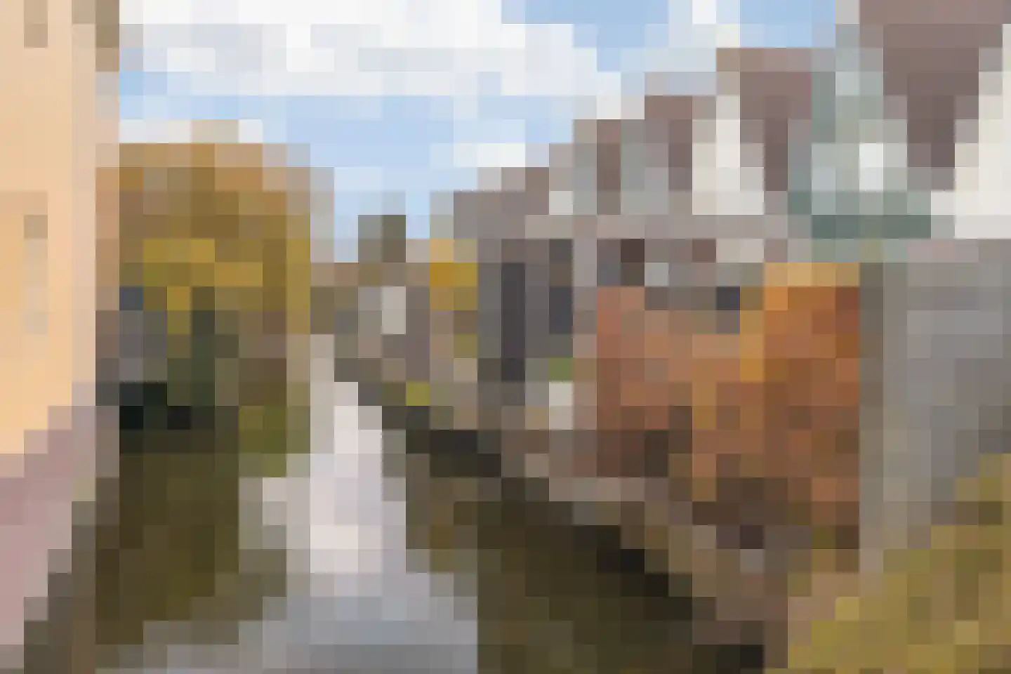 Zuiderpark 25 Kudelstaart thumbnail 35