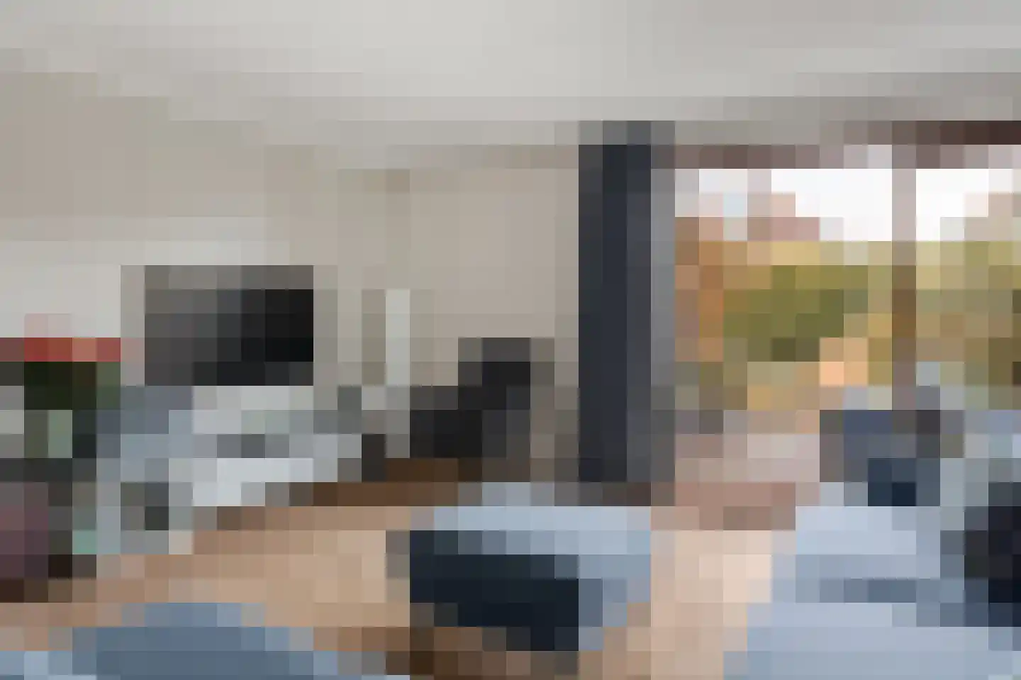 Zuiderpark 25 Kudelstaart thumbnail 5
