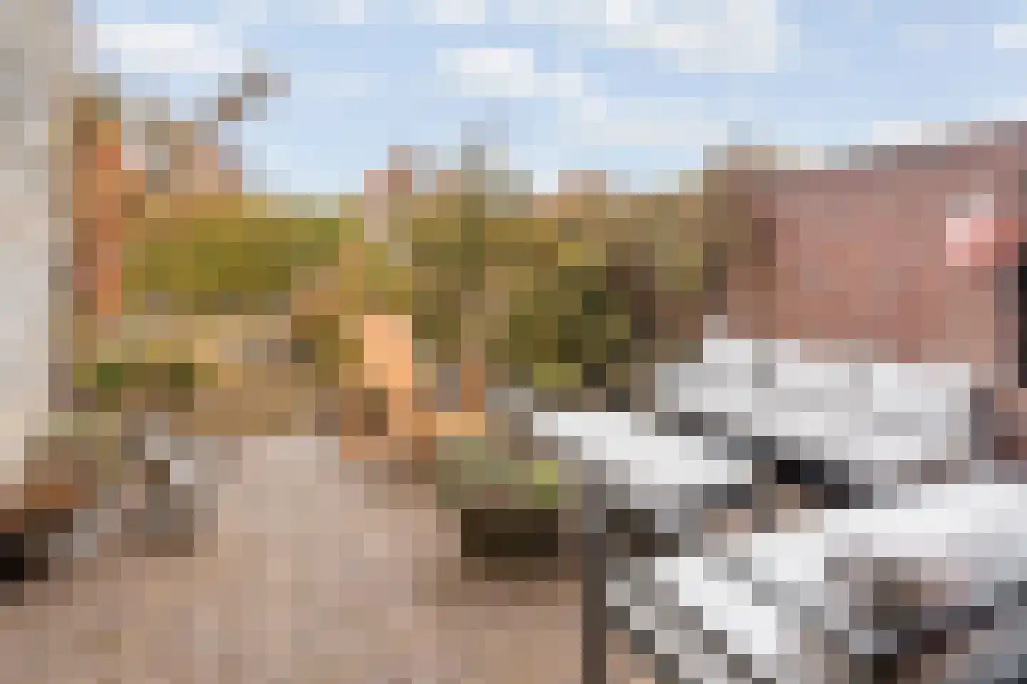 Zuiderpark 25 Kudelstaart thumbnail 7