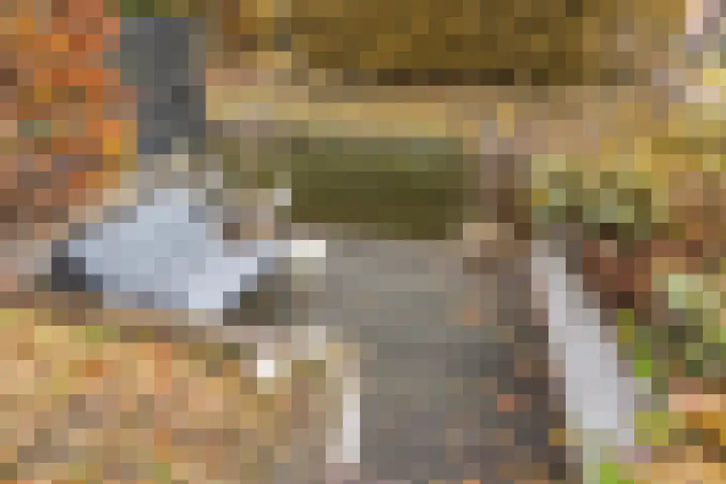 Zuiderpark 25 Kudelstaart thumbnail 9