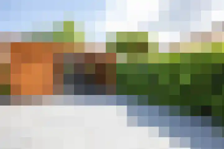 Zuiderpark 29 Kudelstaart thumbnail 31
