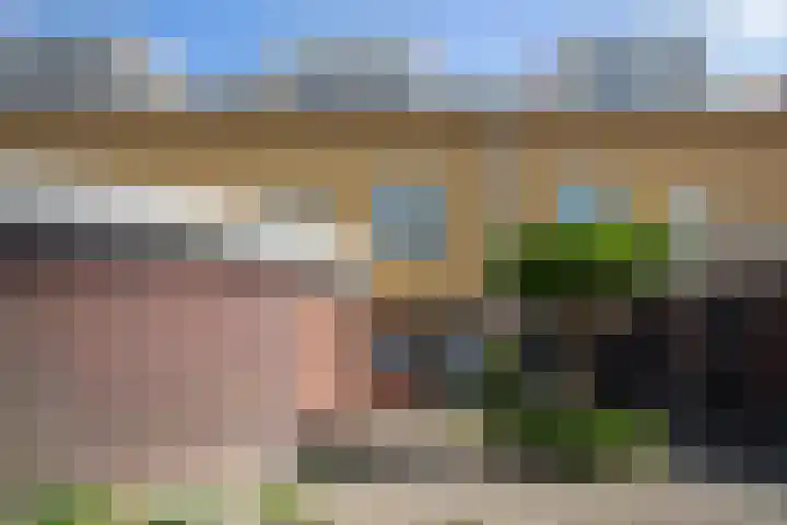 Zuiderpark 29 Kudelstaart thumbnail 35