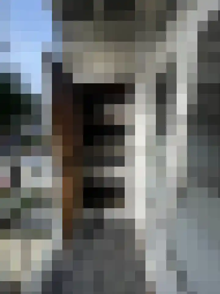 Zuiderparklaan 181 Den Haag thumbnail 12
