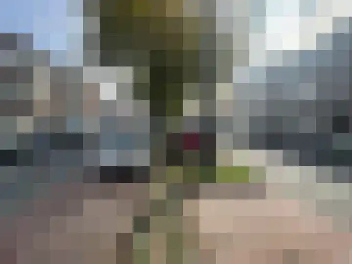 Zuiderparklaan 181 Den Haag thumbnail 23