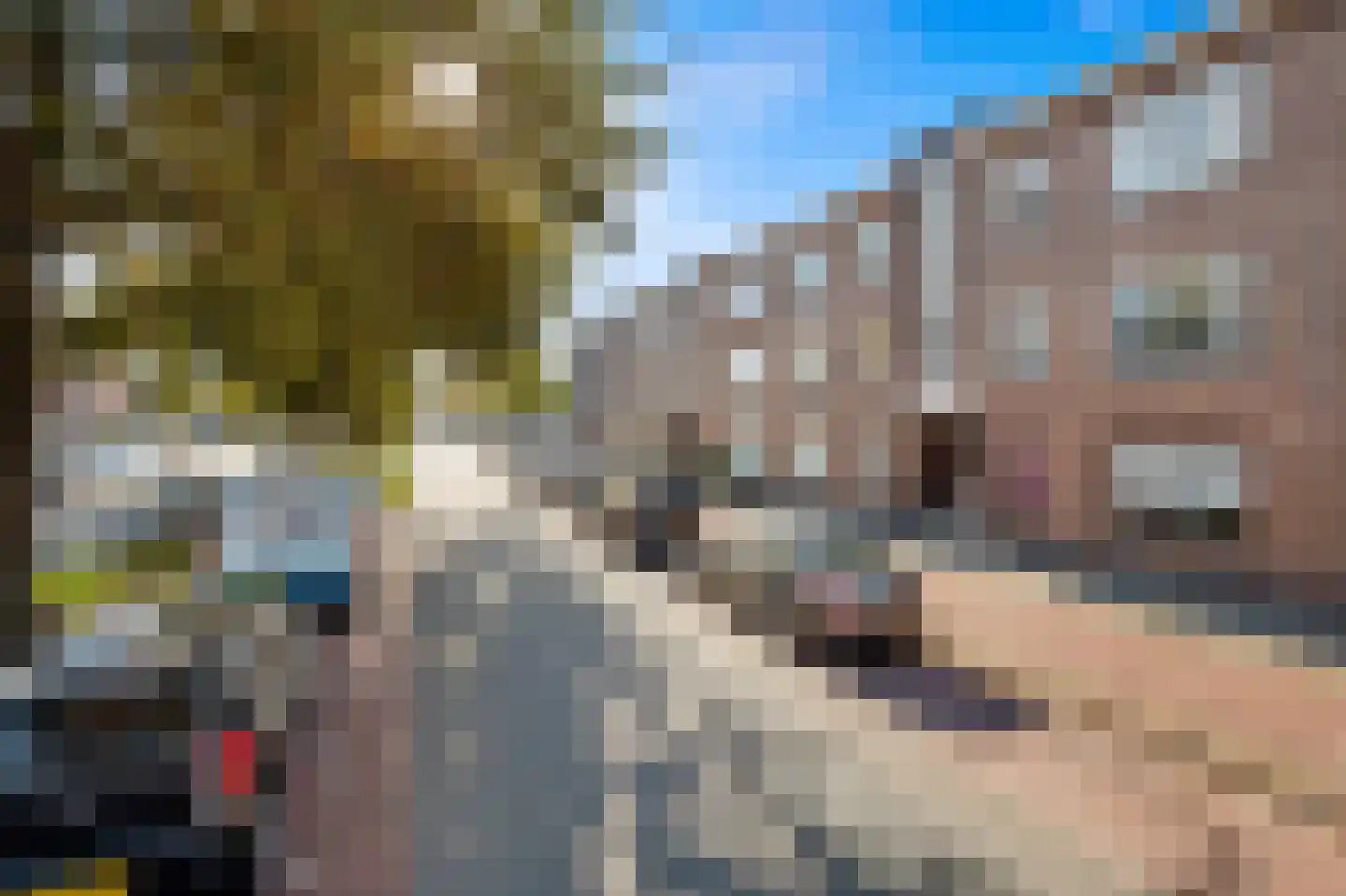 Zuiderparklaan 197 Den Haag thumbnail 5