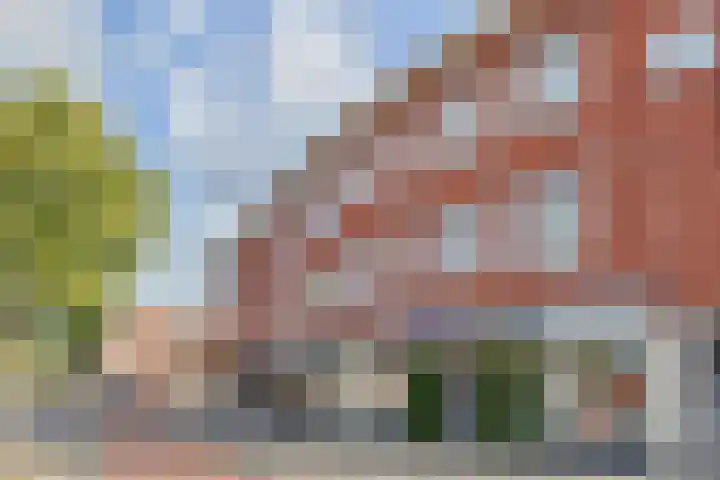 Zuiderparklaan 212 Den Haag thumbnail 41