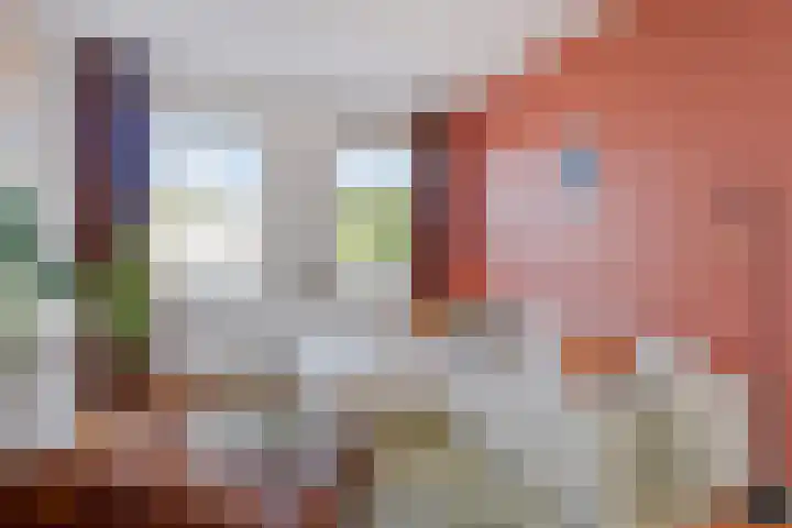 Zuiderparklaan 212 Den Haag thumbnail 6