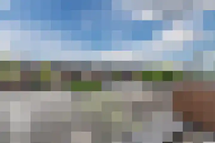 Zuiderparklaan 24 Bergschenhoek thumbnail 24