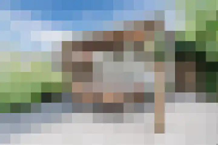 Zuiderparklaan 24 Bergschenhoek thumbnail 34