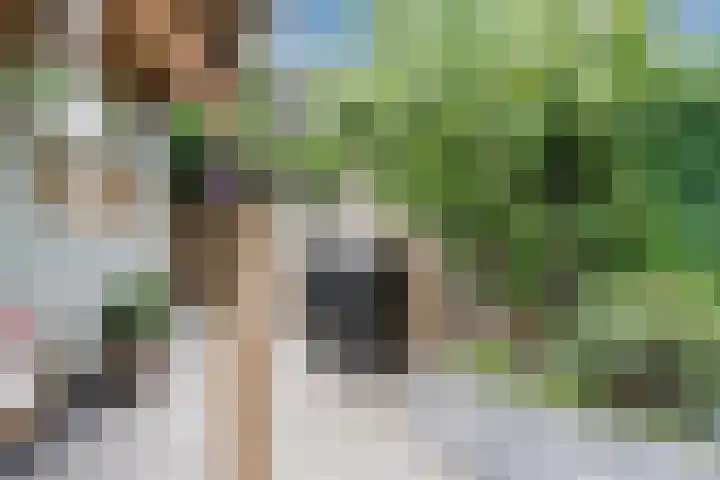 Zuiderparklaan 24 Bergschenhoek thumbnail 35