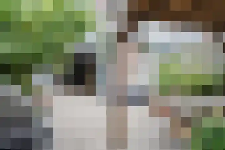 Zuiderparklaan 24 Bergschenhoek thumbnail 37