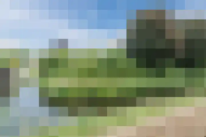 Zuiderparklaan 24 Bergschenhoek thumbnail 40