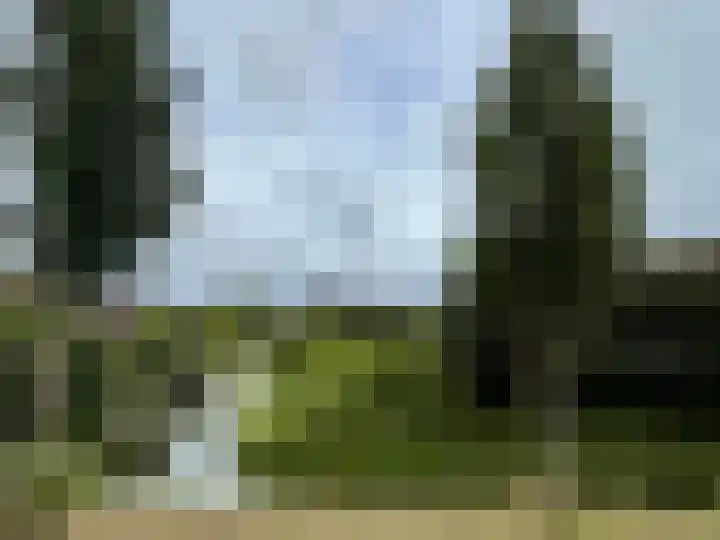 Zuiderparklaan 24 Bergschenhoek thumbnail 41