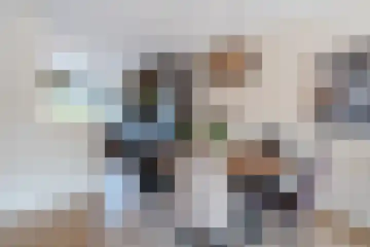 Zuiderparklaan 24 Bergschenhoek thumbnail 8