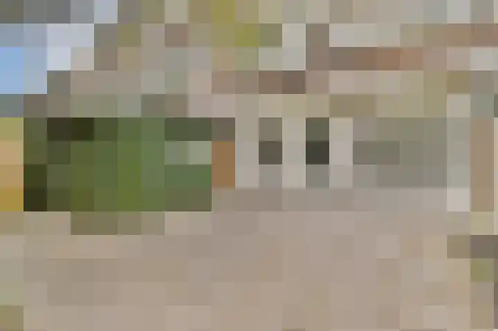 Zuiderparklaan 300 Den Haag thumbnail 26