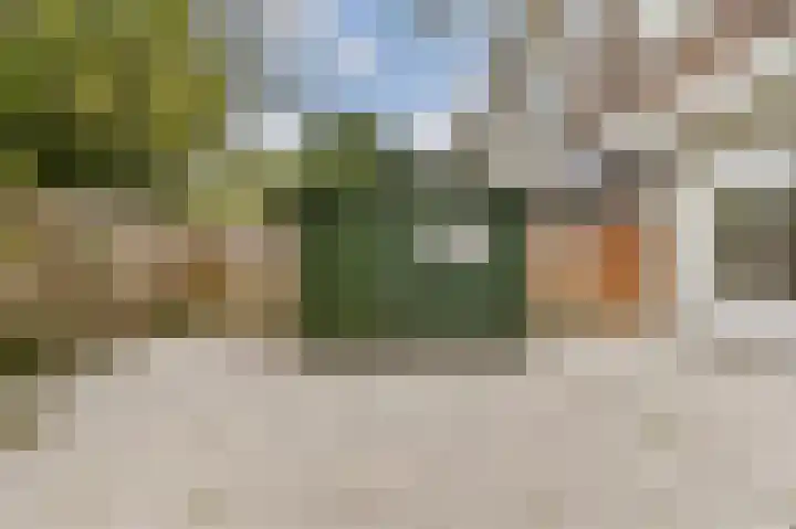 Zuiderparklaan 300 Den Haag thumbnail 28