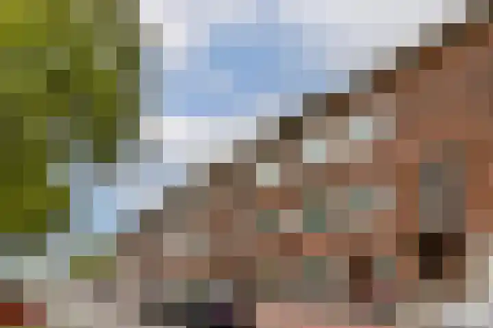 Zuiderparklaan 300 Den Haag thumbnail 29