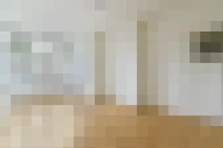 Zuiderparklaan 300 Den Haag thumbnail 5