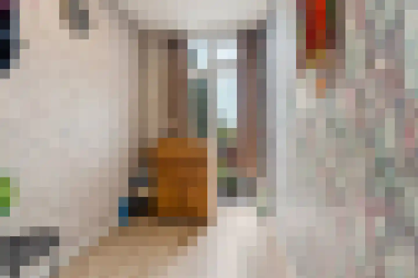 Zuiderparklaan 311 Den Haag thumbnail 25