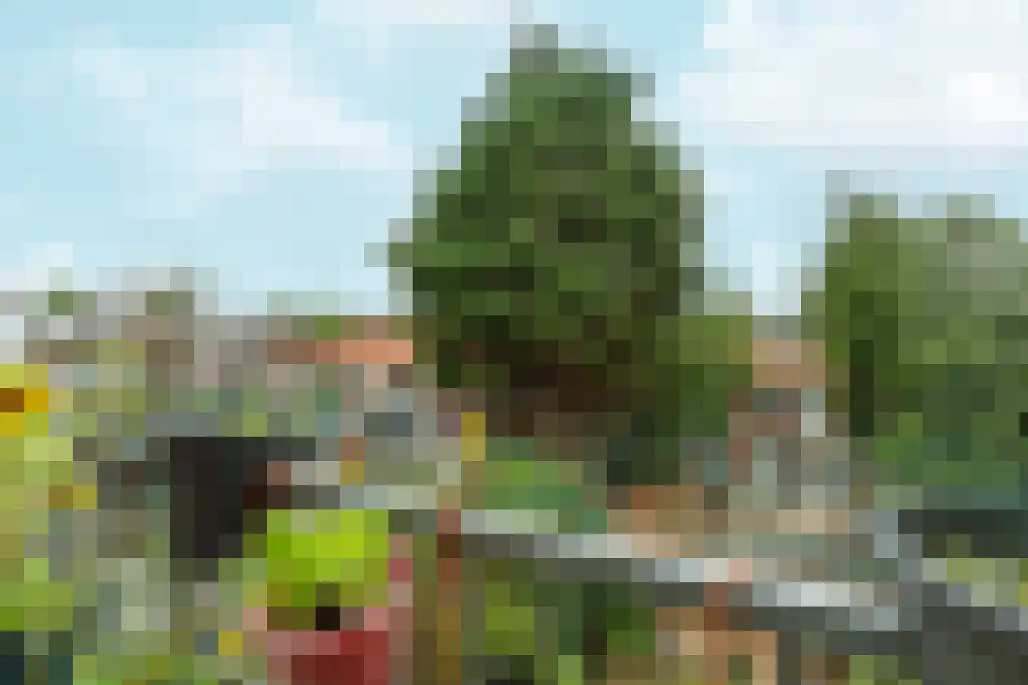 Zuiderparklaan 311 Den Haag thumbnail 28