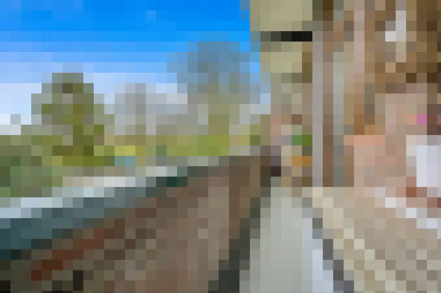 Zuiderparklaan 320 Den Haag thumbnail 13