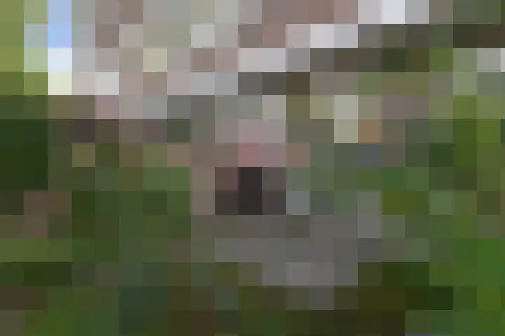 Zuiderparklaan 322 Den Haag thumbnail 16