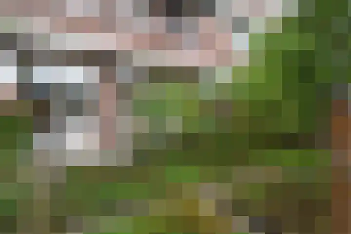 Zuiderparklaan 322 Den Haag thumbnail 17
