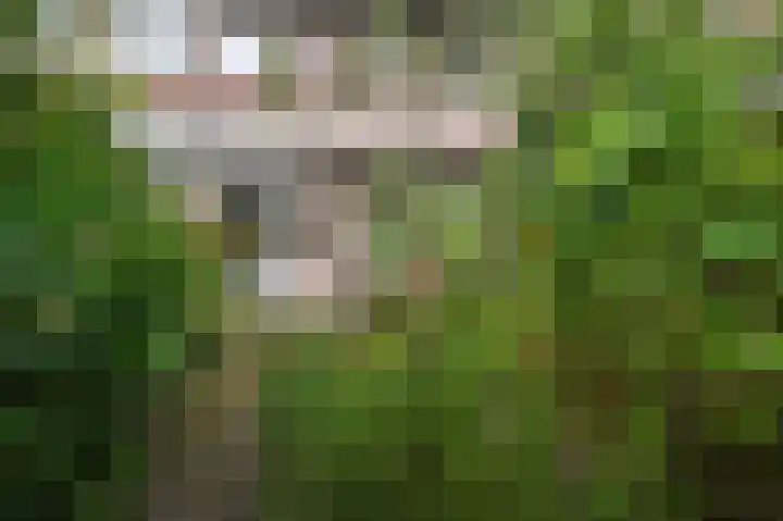 Zuiderparklaan 322 Den Haag thumbnail 19