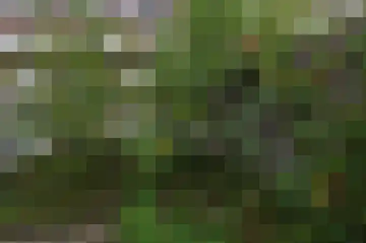 Zuiderparklaan 322 Den Haag thumbnail 20