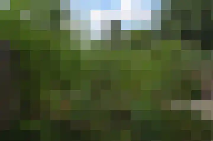 Zuiderparklaan 322 Den Haag thumbnail 24