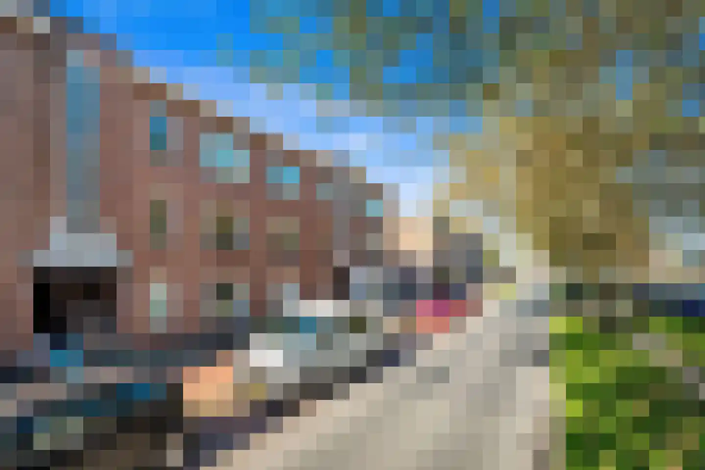 Zuiderparklaan 33 Den Haag thumbnail 5