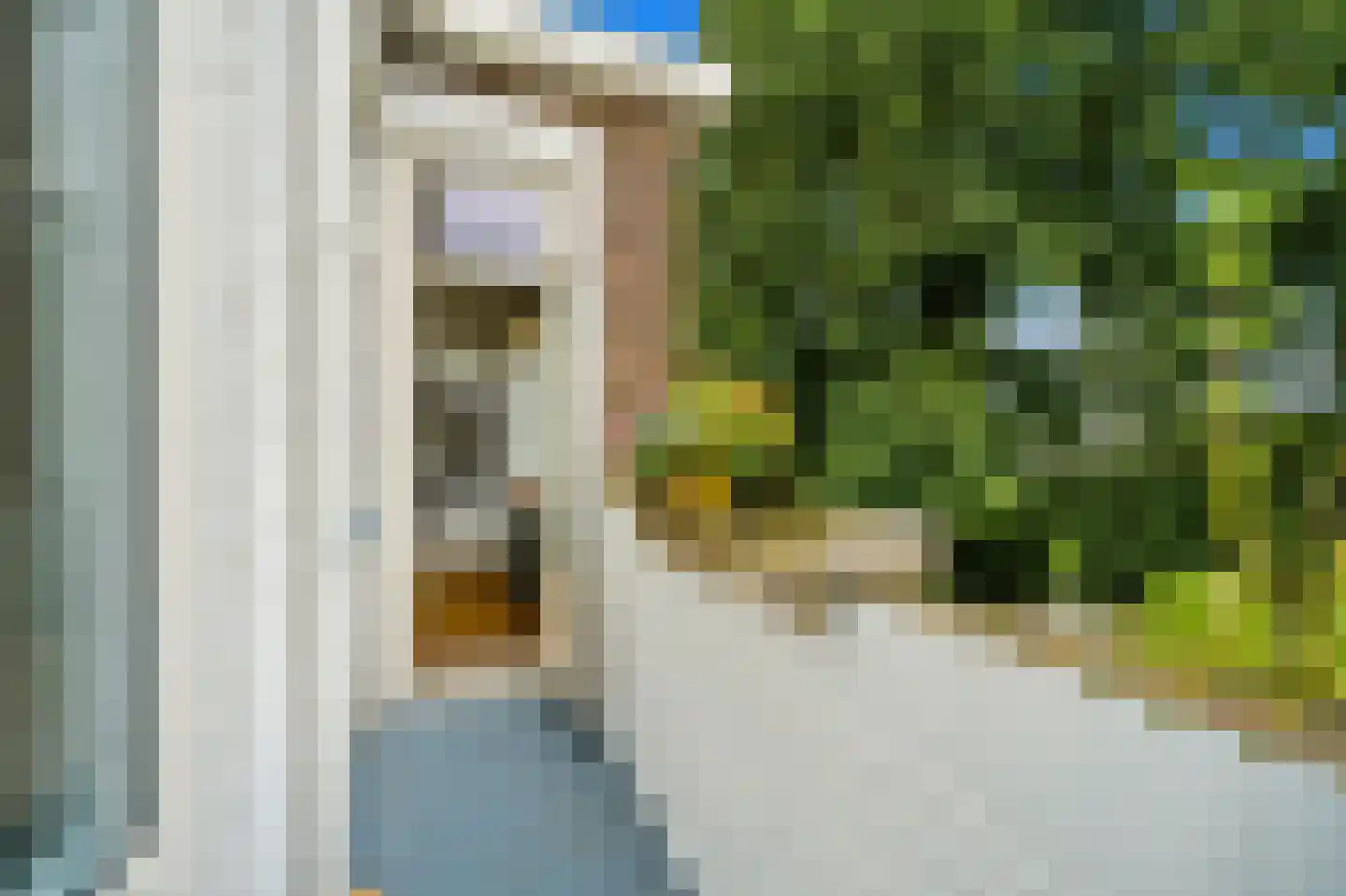 Zuiderparklaan 344 Den Haag thumbnail 24
