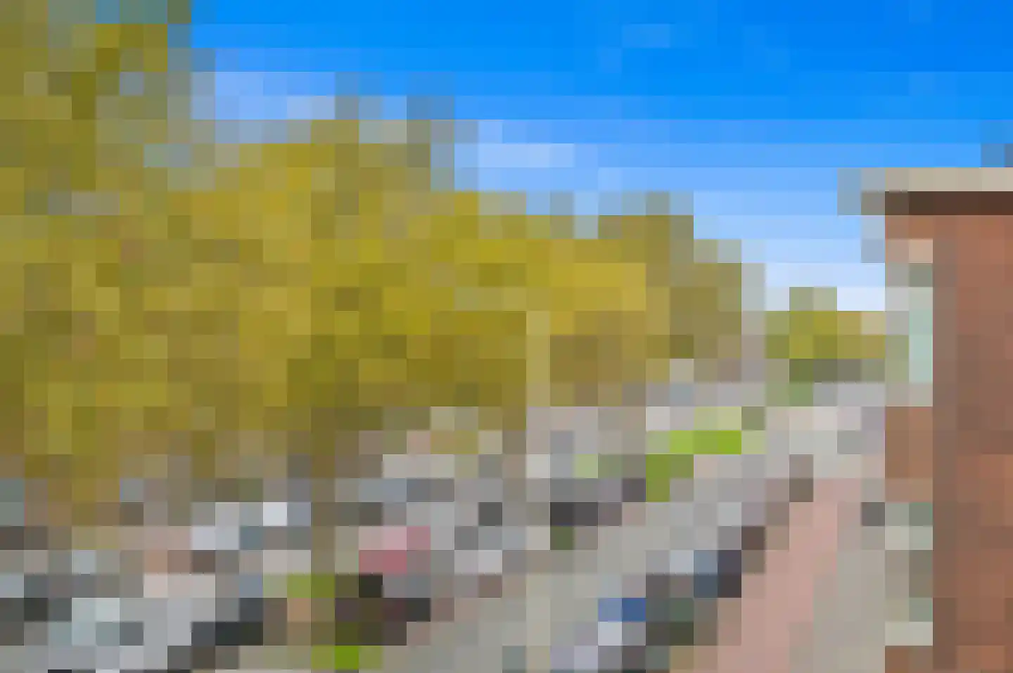 Zuiderparklaan 344 Den Haag thumbnail 44