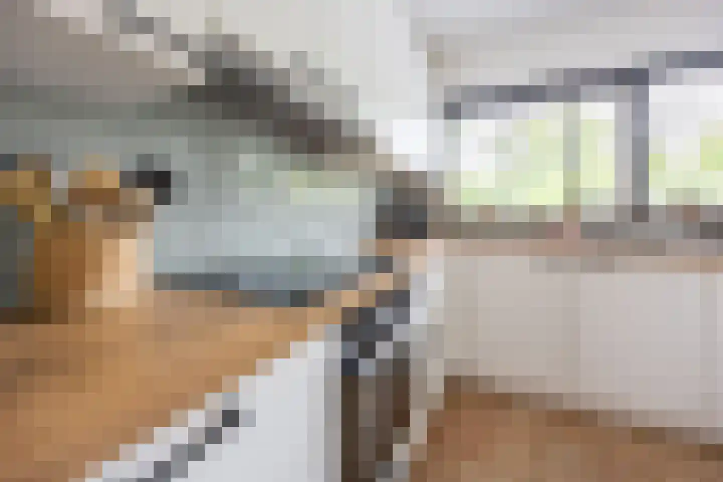 Zuiderparklaan 36 Bergschenhoek thumbnail 10
