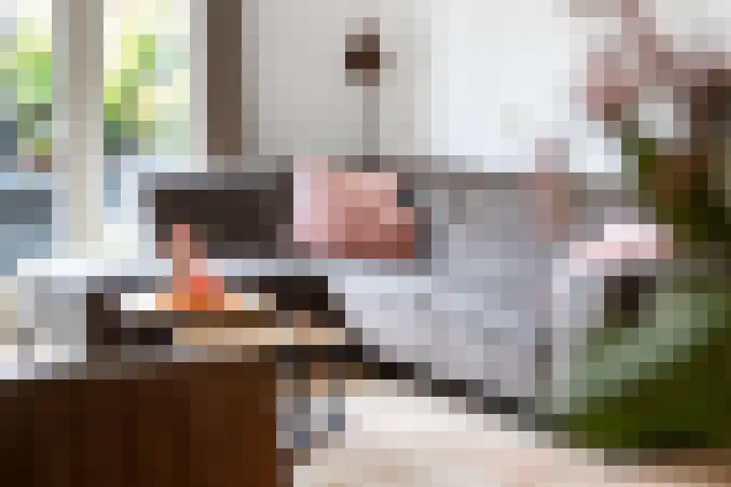 Zuiderparklaan 36 Bergschenhoek thumbnail 13