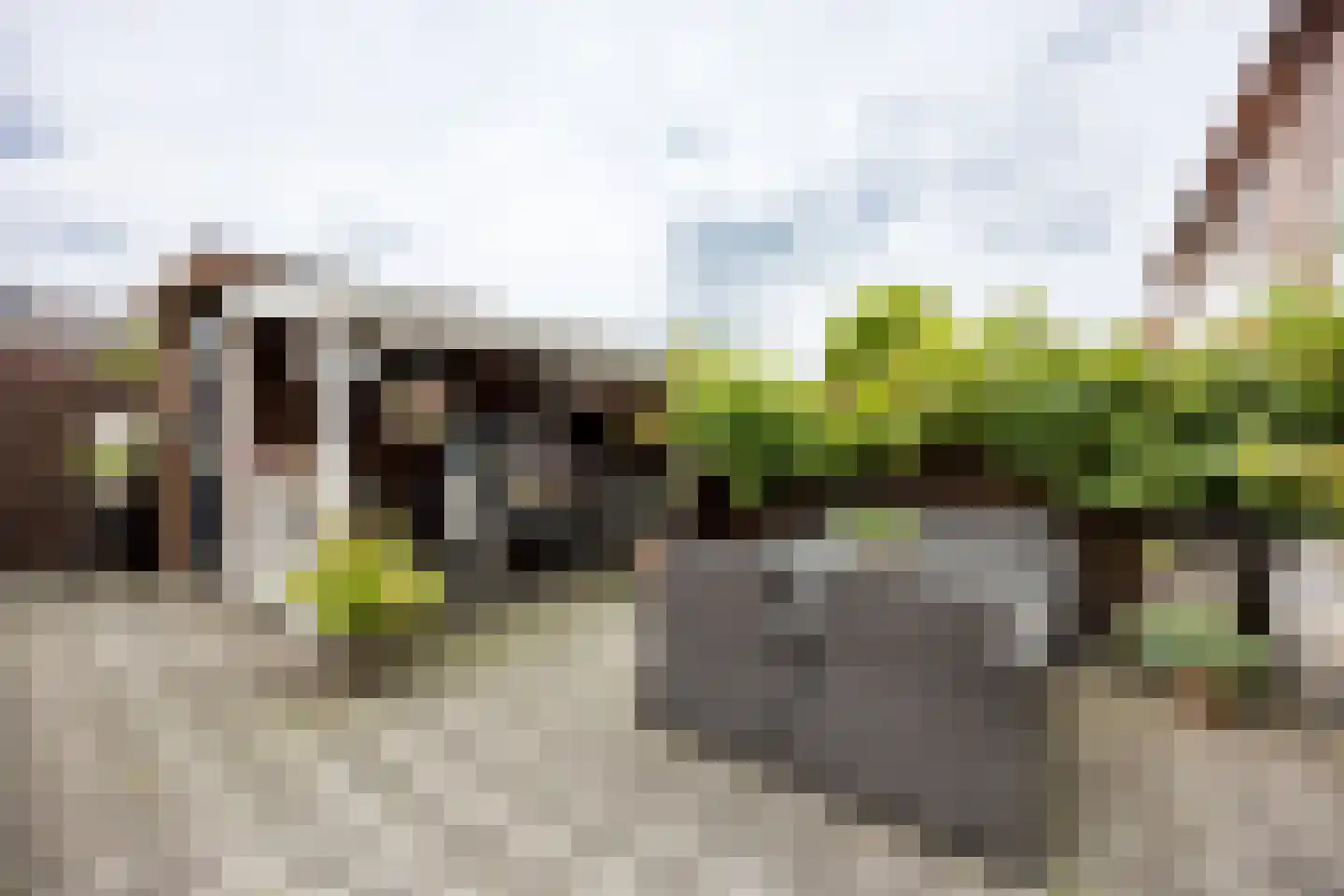 Zuiderparklaan 36 Bergschenhoek thumbnail 16