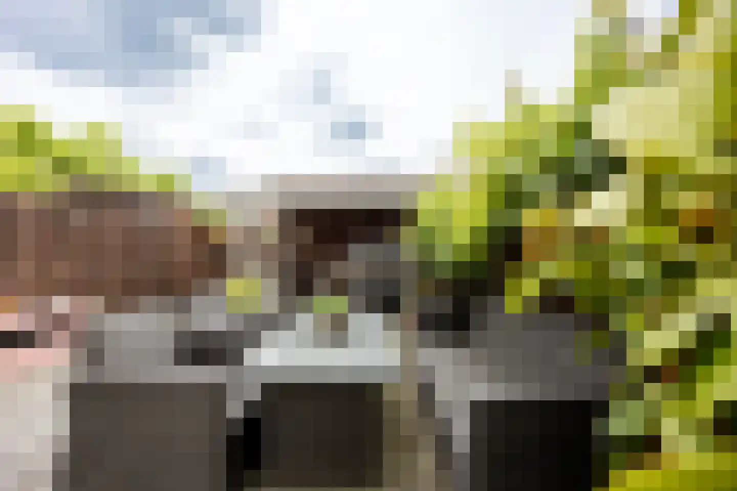 Zuiderparklaan 36 Bergschenhoek thumbnail 17