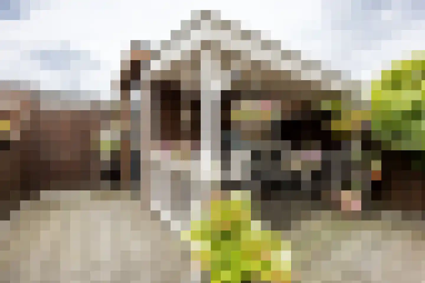 Zuiderparklaan 36 Bergschenhoek thumbnail 18