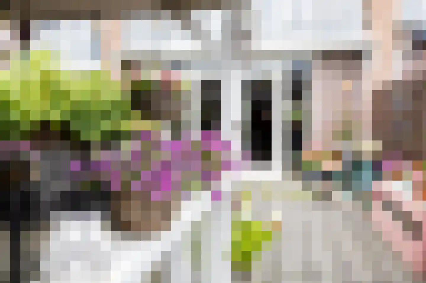 Zuiderparklaan 36 Bergschenhoek thumbnail 20