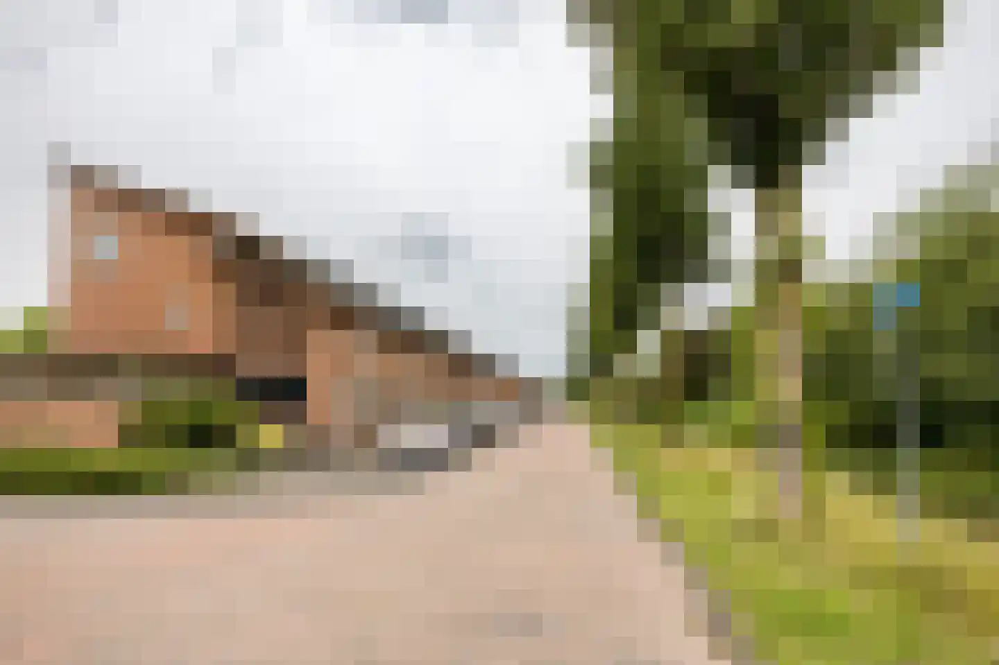 Zuiderparklaan 36 Bergschenhoek thumbnail 33
