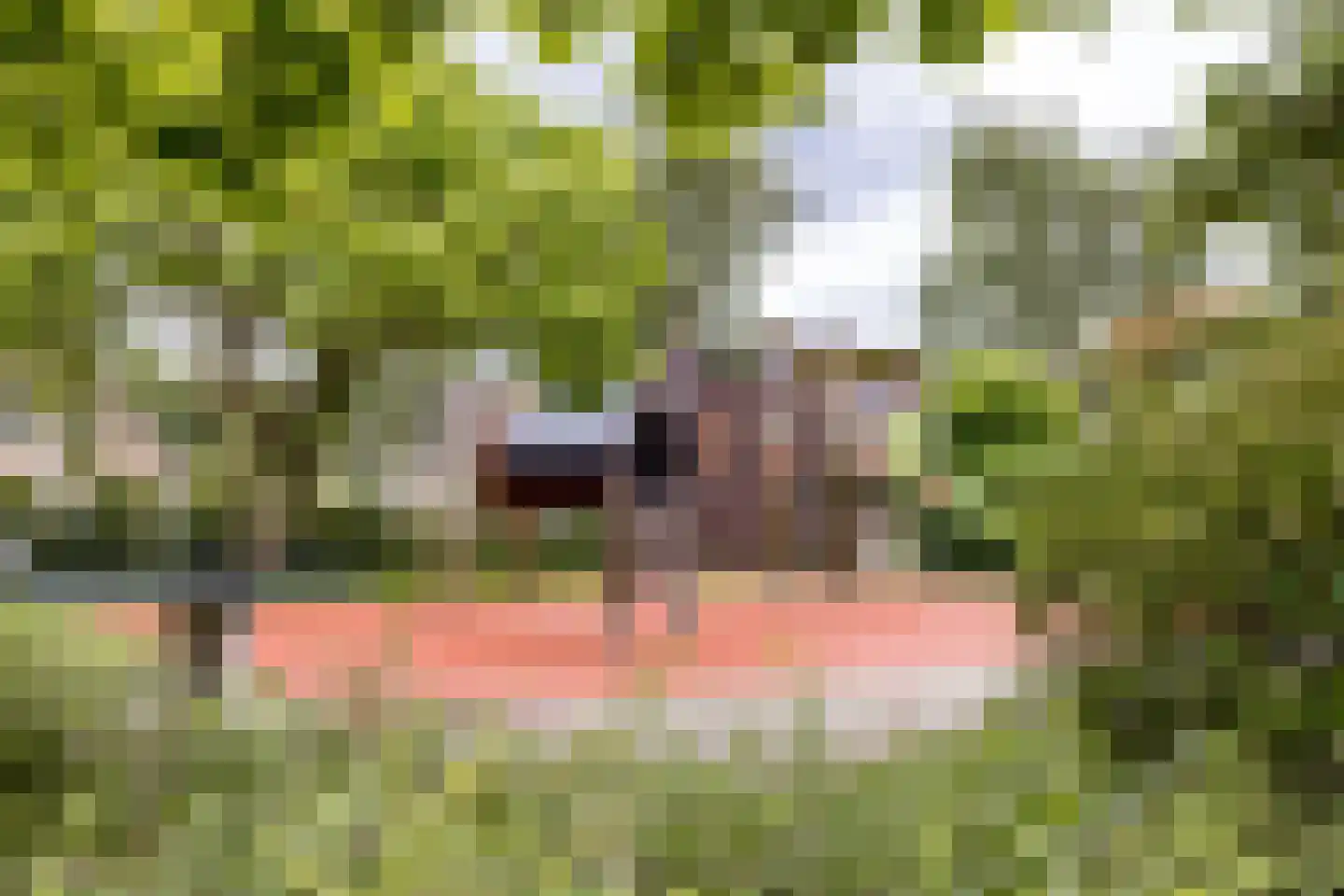 Zuiderparklaan 36 Bergschenhoek thumbnail 34