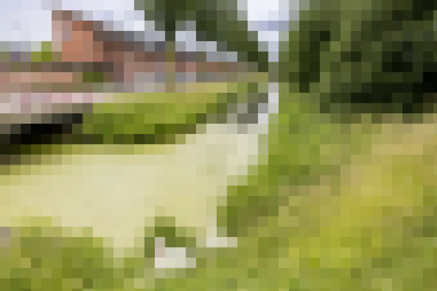 Zuiderparklaan 36 Bergschenhoek thumbnail 35