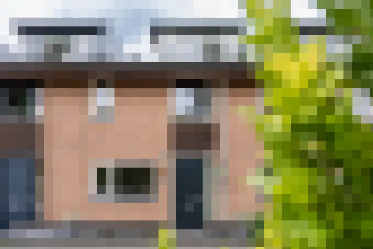 Zuiderparklaan 36 Bergschenhoek thumbnail 4