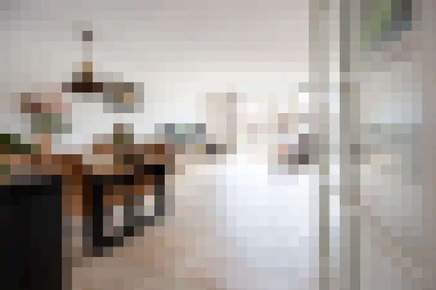 Zuiderparklaan 36 Bergschenhoek thumbnail 6
