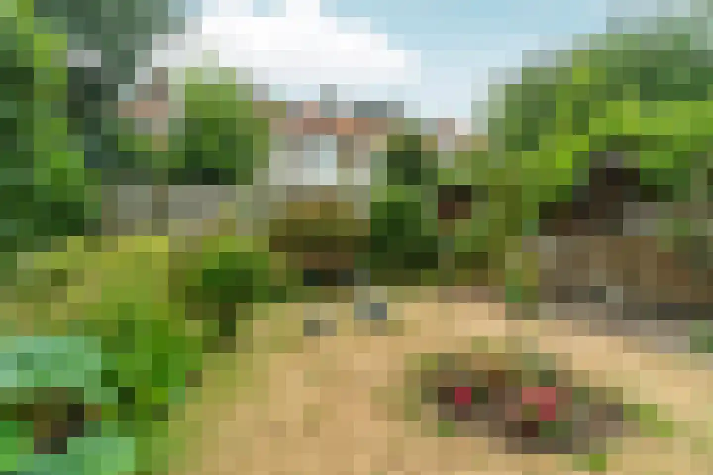 Zuiderparklaan 375 Den Haag thumbnail 38