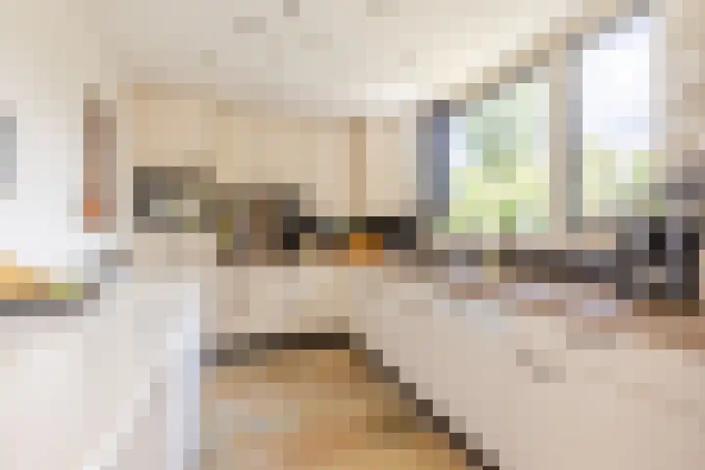 Zuiderparklaan 42 Bergschenhoek thumbnail 10