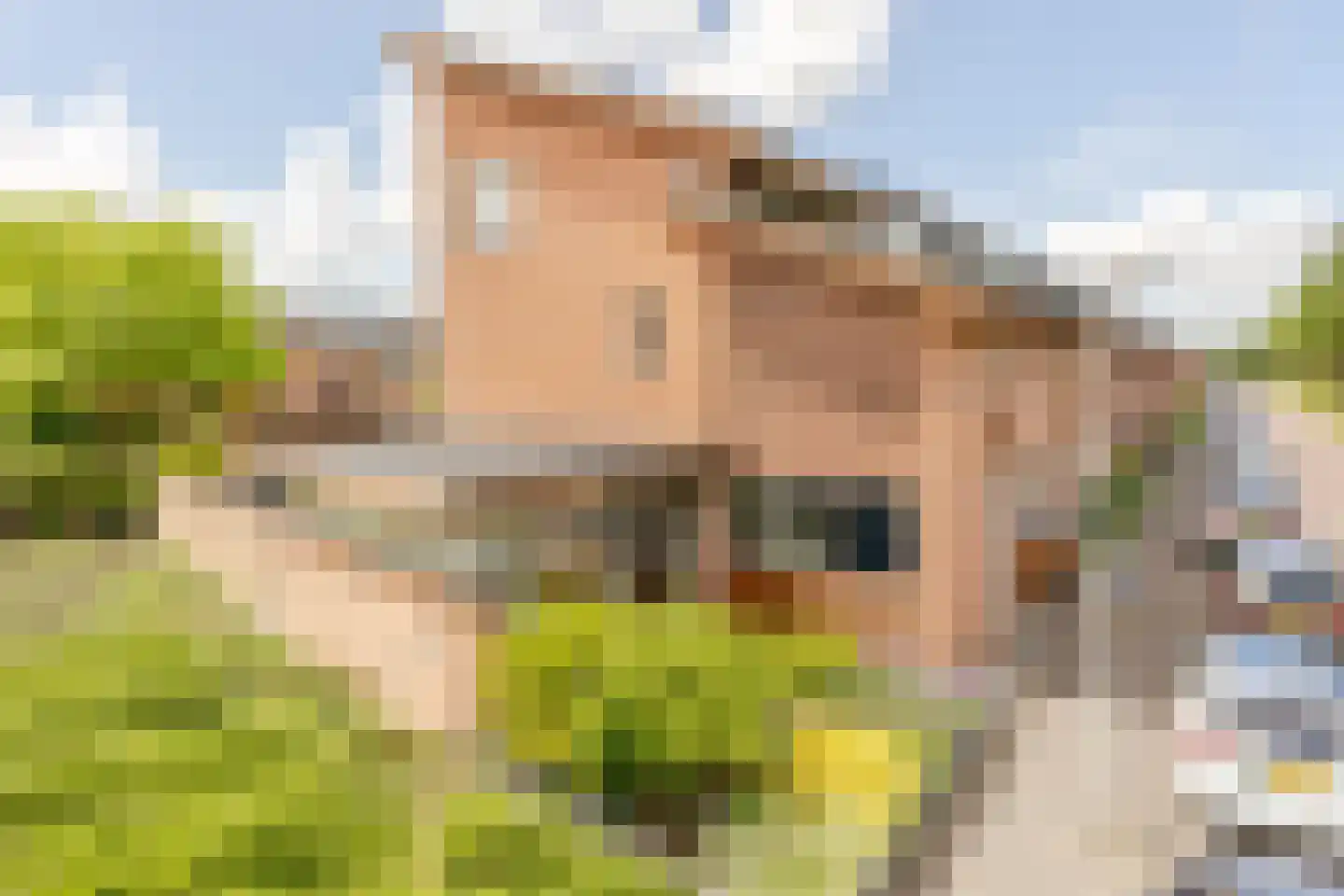 Zuiderparklaan 42 Bergschenhoek thumbnail 31