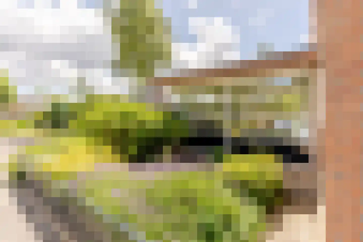 Zuiderparklaan 42 Bergschenhoek thumbnail 32