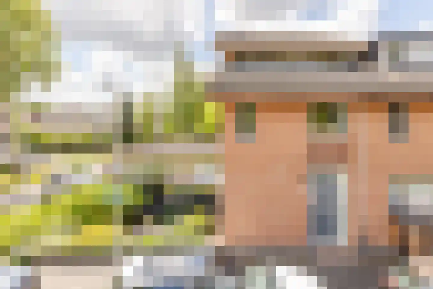 Zuiderparklaan 42 Bergschenhoek thumbnail 4
